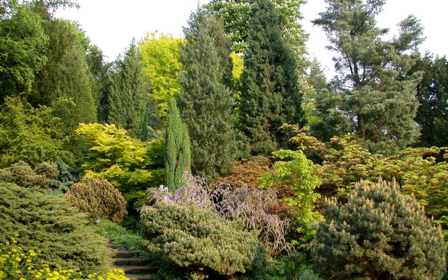 Foundation Arboretum Park Härle, Bonn, Germany, Germany